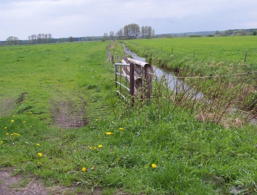 auenlandschaft-schoenmoor