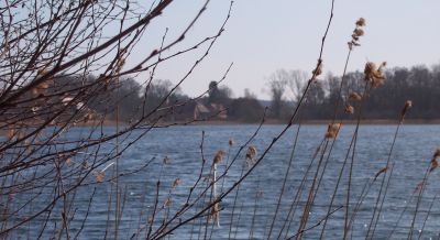blick-auf-den-schaalsee