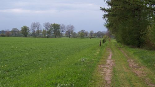 feldblick-bei-rickling