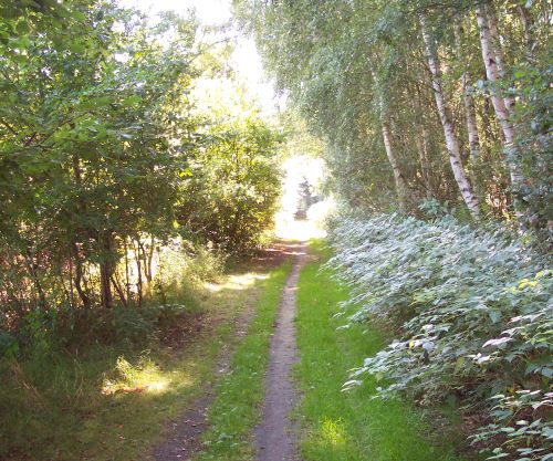 grenzweg-bei-schlagsdorf