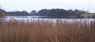 huegellandschaft-nehmtener-see