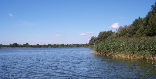 mechower-see