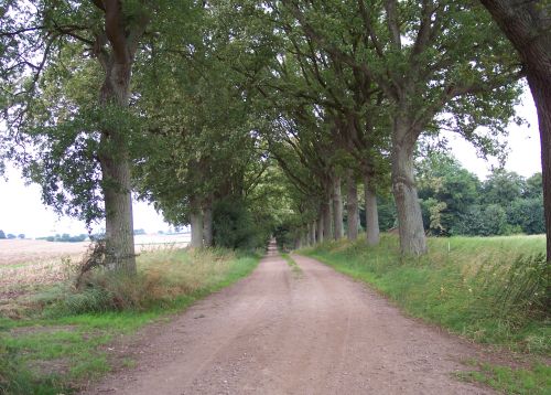 schusteracht-weg