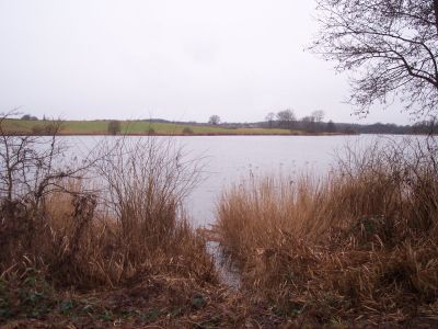 see-nehmten