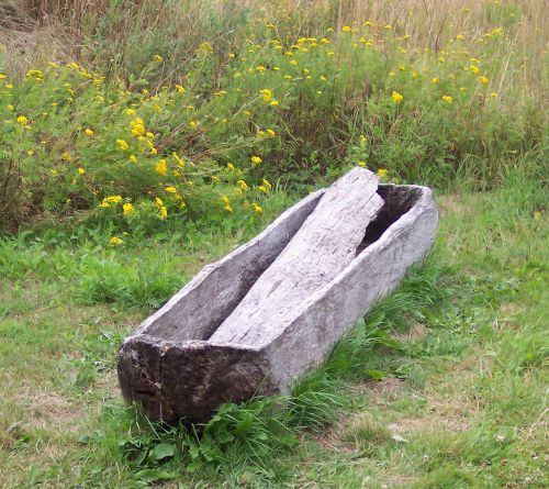 steinzeit-holztraenke