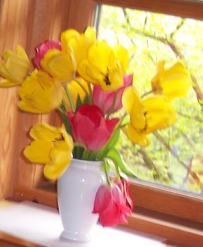 tulpenvase