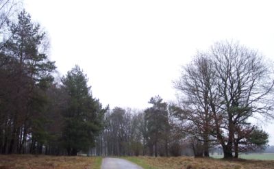 wanderweg-bei-hamdorf