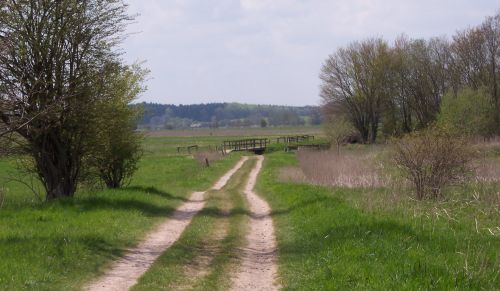 wanderweg-heidmoor