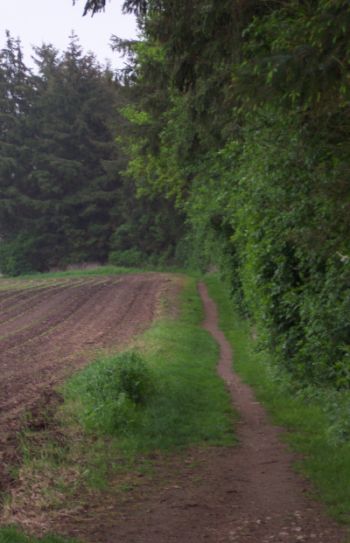 wanderweg-tramer-see
