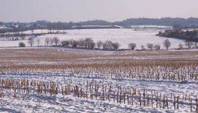 winterliche-landschaft